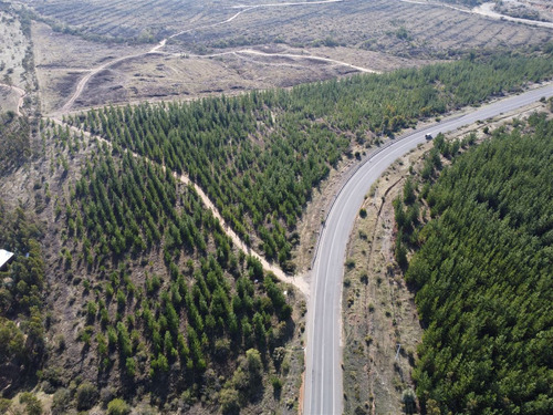 Agrícola En Venta En Cauquenes