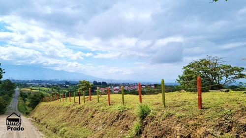 Imagen 2 de 9 de Terreno De 90.019 M2 Ubicado En Goicoechea, El Carmen De Guadalupe
