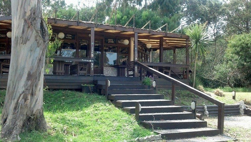 Imagen 2 de 9 de Parrilla Fndo De Comercio C Propiedad + Depto - Villa Gesell
