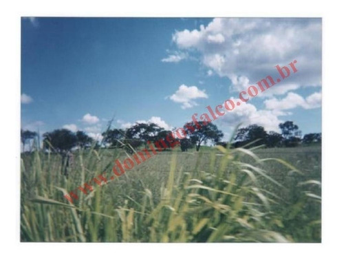 Imagem 8 de 24 de Venda - Fazenda - Zona Rural - Pirapora - Mg - D0342