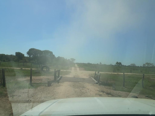 Imagem 23 de 28 de Fazenda À Venda, 3.106 Ha Por R$ 30.000.000 - Zona Rural - Cocalinho/mt - Fa0002