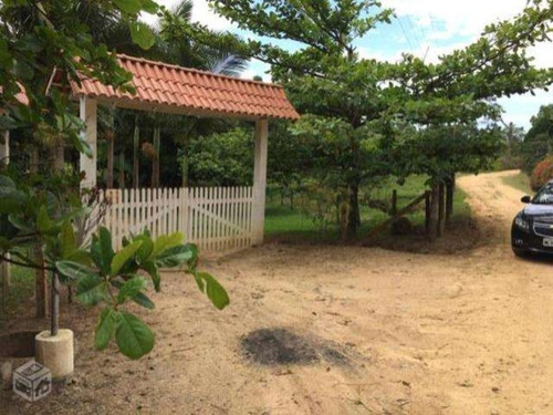 Excelente Chacara Em Camboríú. 100% Plana.lagos De Peixes - Dv019 - 3092046
