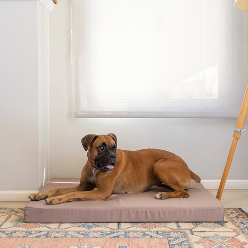 Cama Colchoneta Para Perros Lola Pets Antidesgarro 100x70 Cm