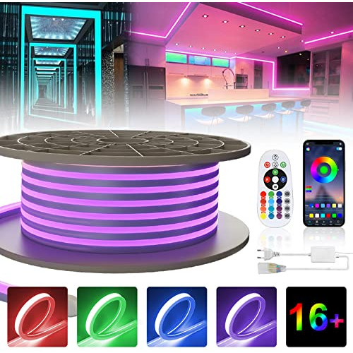 Tira De Luz De Neón Led Rgb De 100 Pies/15 Metros Regu...