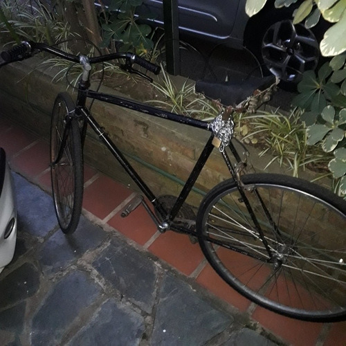 Bicicleta Paseo Rodado28
