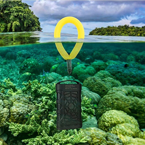 Flotador Multiuso Celulares Cámara Llaves, Picua Outdoor