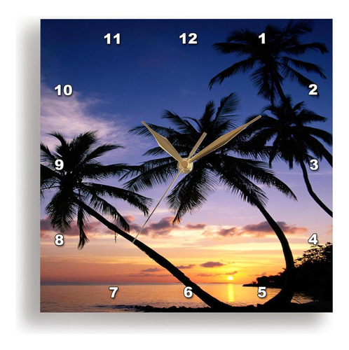 3drose Dpp__1 Palm Perfect Sunset-wall Clock, 10 Por 10 PuLG