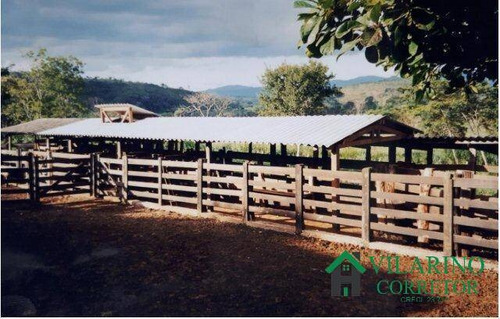Imagem 6 de 15 de Fazenda Para Gado E Cultura Em Baldim - 2751