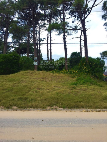 Imagen 2 de 12 de Hermoso Lote Sobre Avenida Principal, En Zona Sur, Villa Gesell