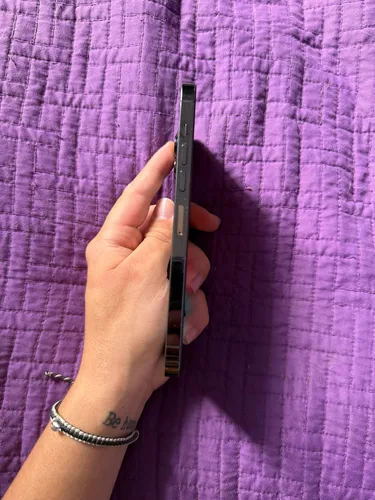 Apple iPhone 13 Pro Max (128 Gb) - Grafito (Usado)