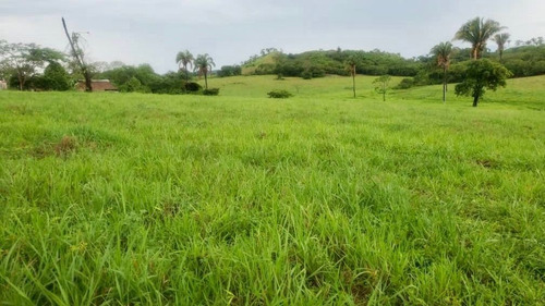 Imagen 13 de 13 de Finca En Santa Barbara De Barinas