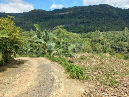 Imagem 7 de 23 de Chácara À Venda No Bairro Laeiz - José Boiteux/sc - 2333c