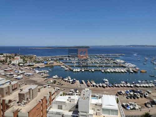 Venta Apartamento 3 Dormitorio Y Dependencia, Peninsula, Punta Del Este- Ref: 8445