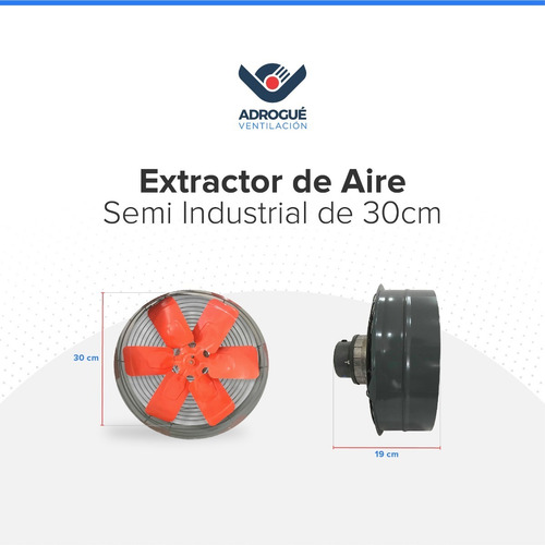 Imagen 6 de 10 de Extractor Industrial 30 Cm Reversible Ruleman Pala Metálica