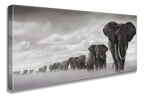 Arte De Pared De Elefantes Blancos Y Negros Para Sala De Est