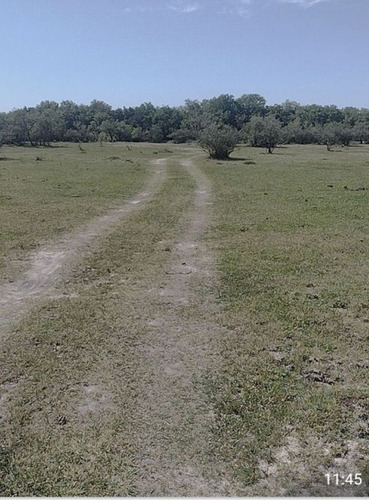 Imagen 6 de 10 de Se Vende Campo De 65 Hectareas En Rosario Del Tala, Entre Rios