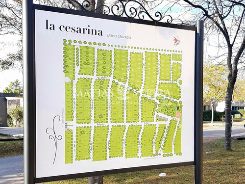 Lote En Venta La Cesarina