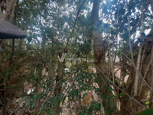 Imagem 6 de 6 de Terreno À Venda Em Sousas - Te290416