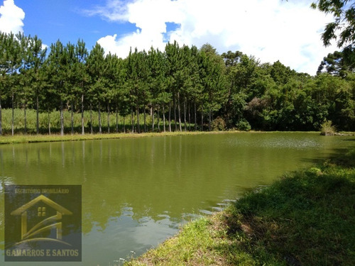 Imagem 25 de 30 de Oportunidade De Investimento Em Área Industrial Com 93.000 M² Em Cgs - Ar00005 - 33571773