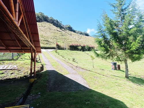 Imagen 8 de 20 de Casa/finca Remodelada