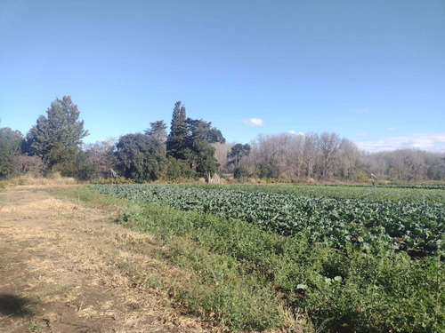 Imagen 7 de 11 de Venta 1 Hectárea En Zona Juarez Celman