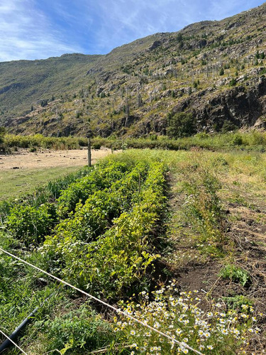 Chacra En El Hoyo. Camino A Desemboque