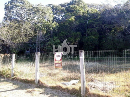 Imagem 2 de 15 de Terreno Comercial - Morro Das Pedras - Ref: 1561 - V-hi72388