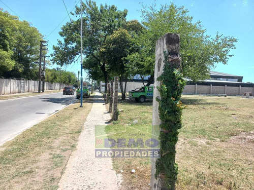 Imagen 3 de 25 de Terreno - Pablo Nogues