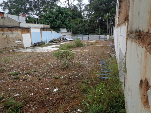 Imagem 5 de 6 de Terreno Para Aluguel, Jardim - Santo André/sp - 3348