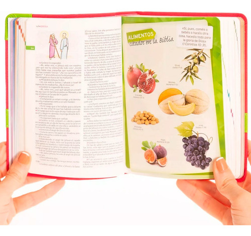 Biblia Reina Valera 1995 Conquistadores Rosa Y Verde