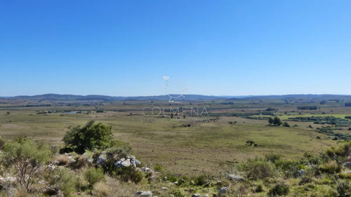 Campo Cerca Ruta 39 En Las Cañas