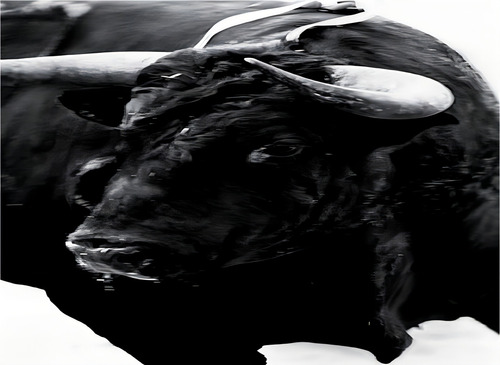 Sangre De Reyes