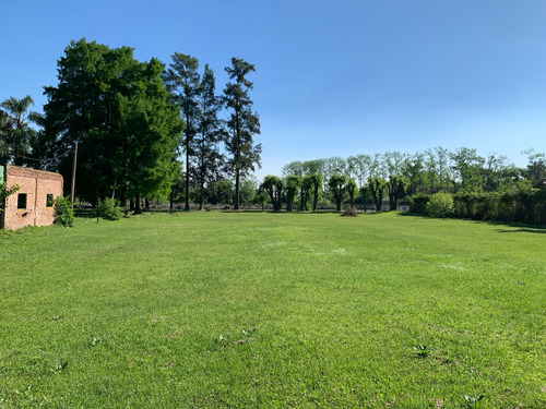 Venta De Macro Lote De 1 Hectárea En Islas Del Delta, Tigre.