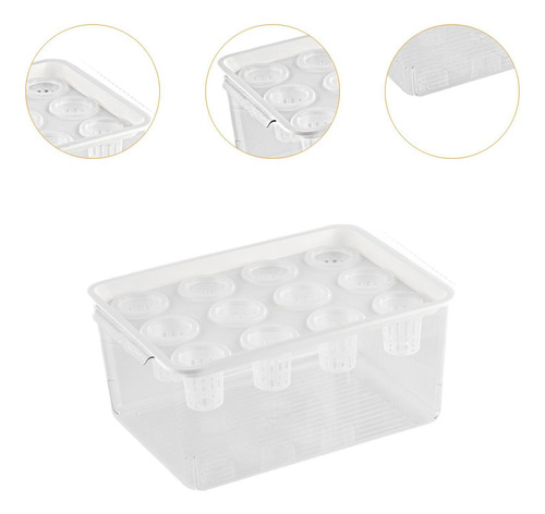 Caja De Hidropónico, Contenedor De Plantación Con