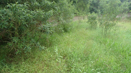 Imagem 3 de 4 de Terreno 1200,00m2 Em Condomínio