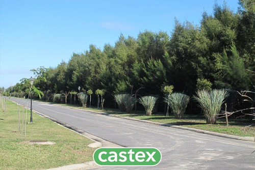Imagen 10 de 14 de Lote En Venta Al Río En San Juan, Villanueva, Tigre
