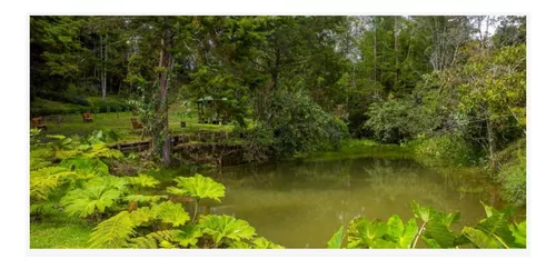 Lote En Venta En Rionegro. Cod V11136