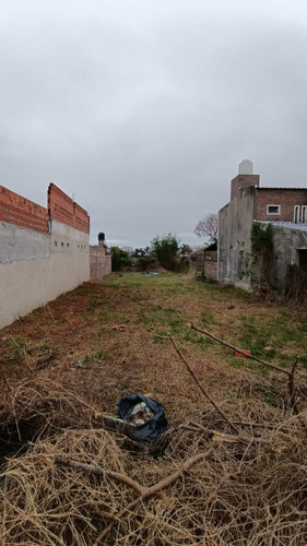 Lote Zona M David Y Garrigo