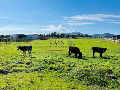 Vass Vende Terreno De 4.367 M2 En Mantagua, Quintero