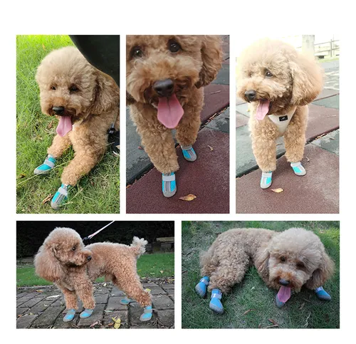 Zapatos Para Perros Pequeños Con Pavimento Caliente, Botines