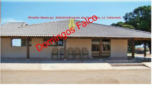 Imagem 28 de 30 de Venda - Fazenda - Zona Rural - Jussara - Go - D0510