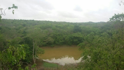 Imagen 12 de 14 de Finca En Venta En San Jose De Guaribe