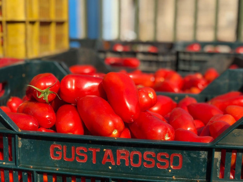 Tomate Italiano San Marzano Gustarosso 400g Pack X12 Unid C
