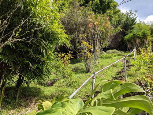 Imagen 10 de 20 de Casa En Venta En Oripoto