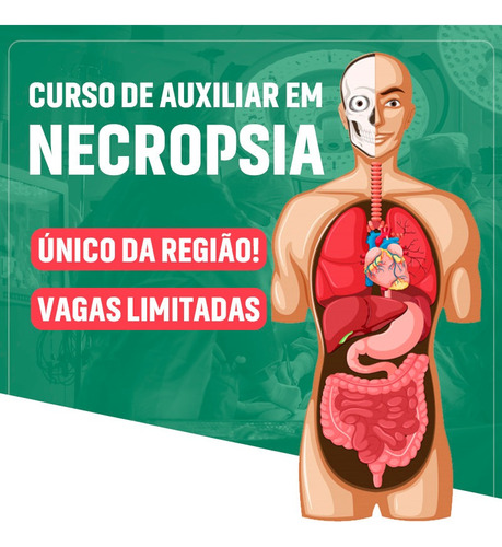 Imagem 7 de 10 de Curso Ead Com Video Aula E Certificado 1 Curso Por R$ 197,00