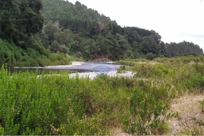 Terreno en venta