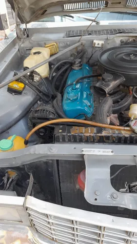Dodge Dart 1980 Motor 225