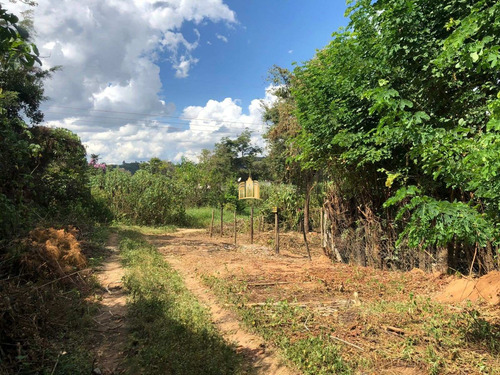 Imagem 3 de 4 de Terreno Em Andiroba - Esmeraldas - Te00522 - 70785416