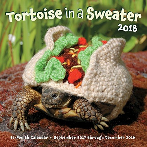 Tortoise In A Sweater 2018 16month Calendar September 2017 T