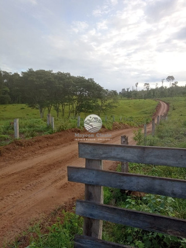 Imagem 9 de 9 de Venda Sítio Machadinho D'oeste Em Rondônia - Sia348